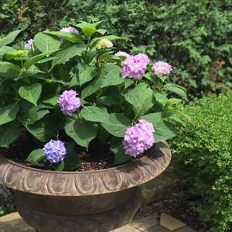 Authentic Pilates Stillwater - Contact Us